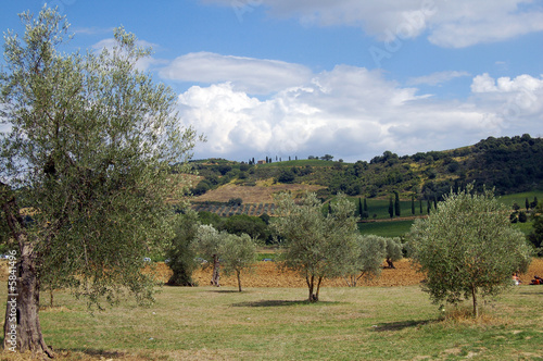 campagna toscana 3