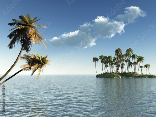 Coconut palm trees on a small island - digital artwork