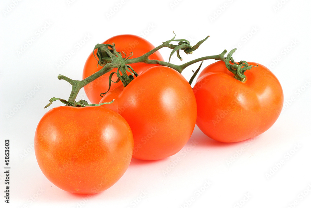 three tomatos with a bit of shadow isolated on white three tomatos with a bit of shadow isolated on white