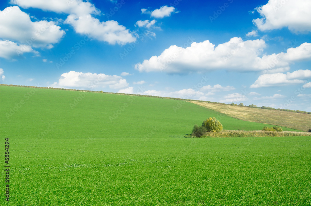 Obraz premium The green field and beautiful white clouds.