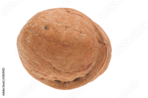 walnut isolated on white background