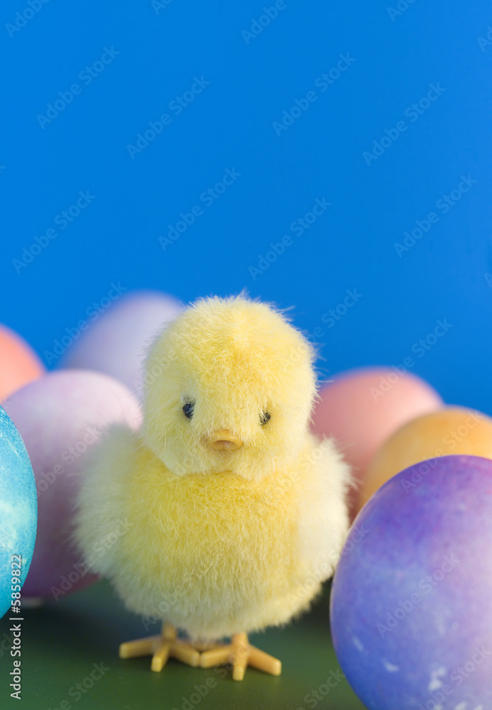 toy baby easter chick and egg toy baby easter chick and egg