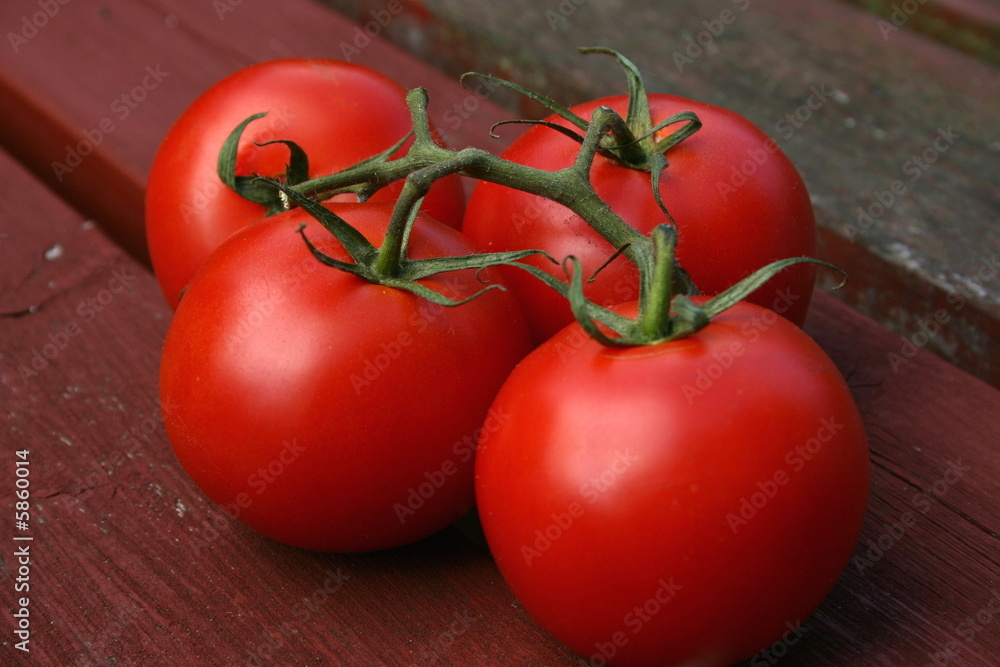 vine tomatoes vine tomatoes