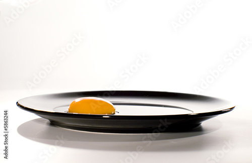 egg