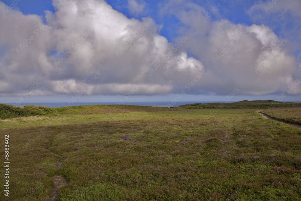 Fototapeta premium cap Frehel, bretagne, 22 : lande