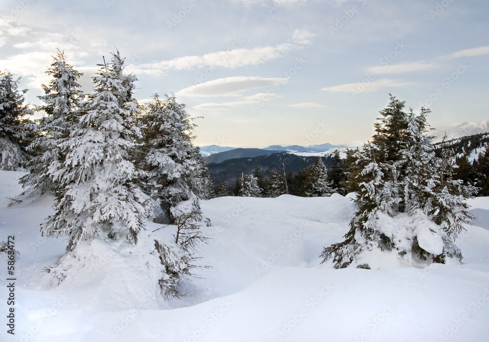 Winter mountain landscape (Ukraine, Carpathian Mt's) Winter mountain landscape (Ukraine, Carpathian Mt's)