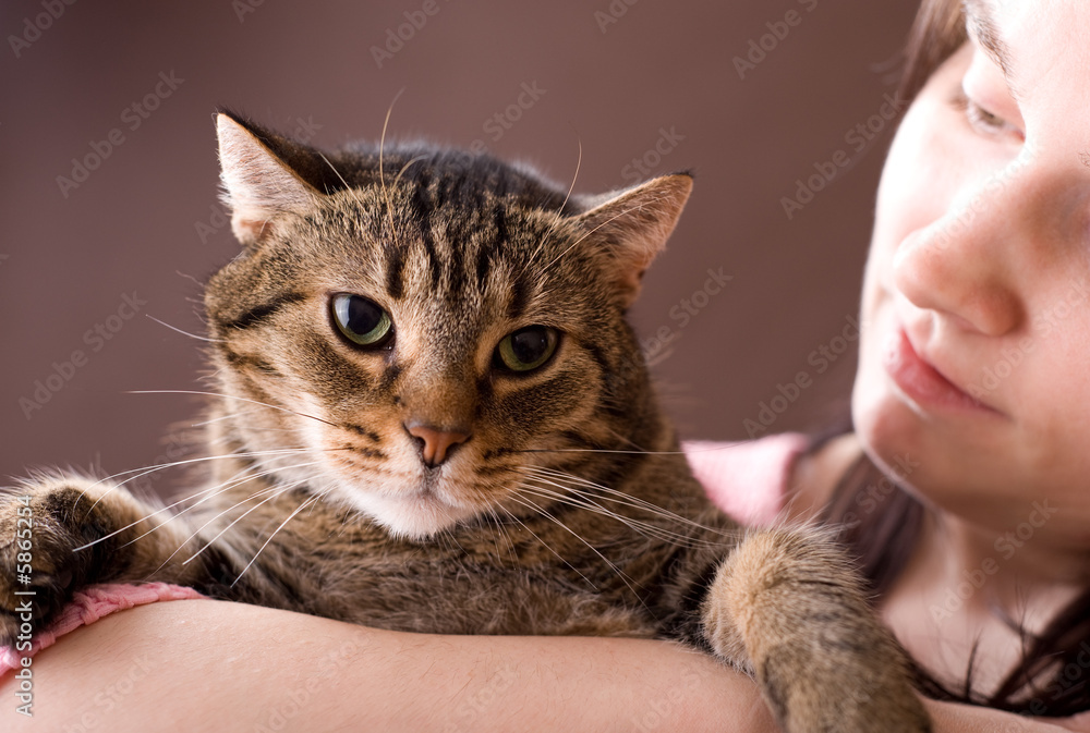 Small cat in hands Small cat in hands
