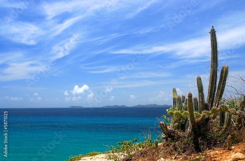 view on los frailes, venezuela, with cactus photo