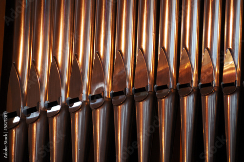 Canne Organo
