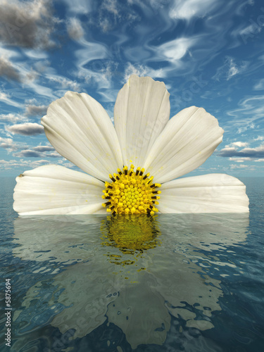 Beautiful flower with reflection on water - digital artwork.