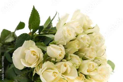 bouquet of white roses