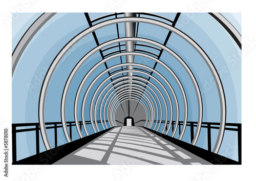 Elevated transition vector