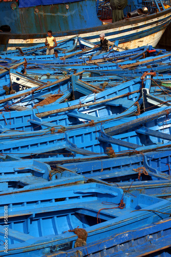 barques bleues - essaouira - maroc