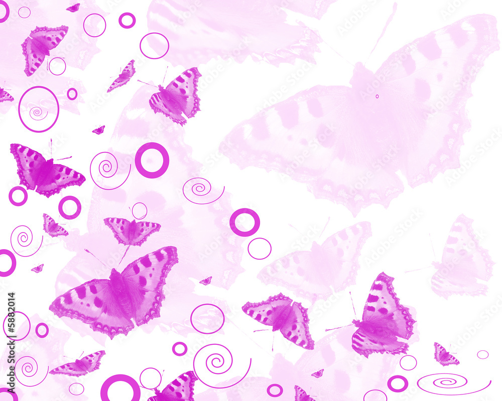 Schmetterling,Hintergrund,pink
