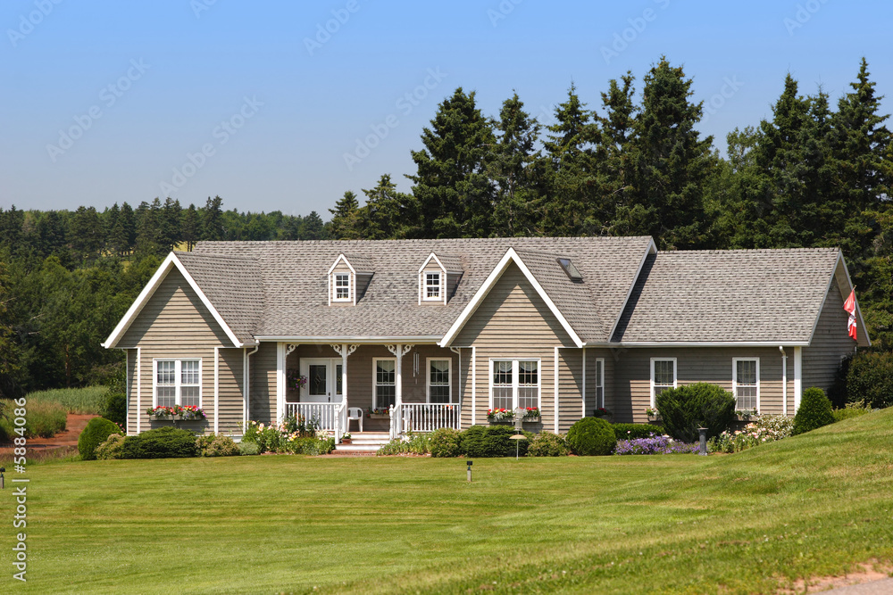 Cute House Cute House