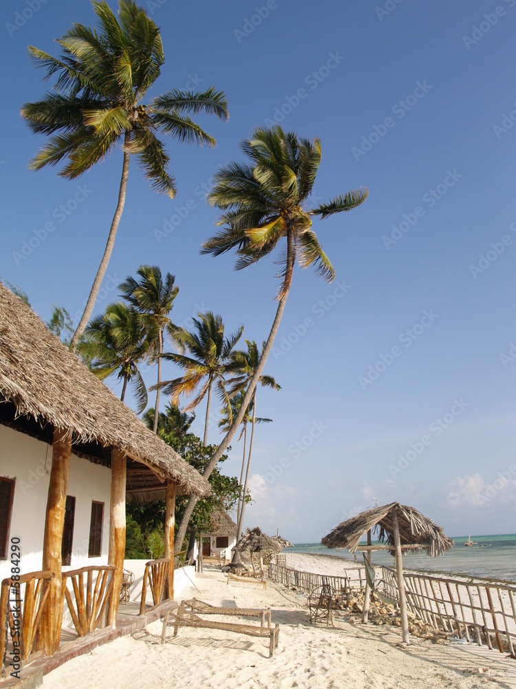plage Zanzibar - obrazy, fototapety, plakaty 