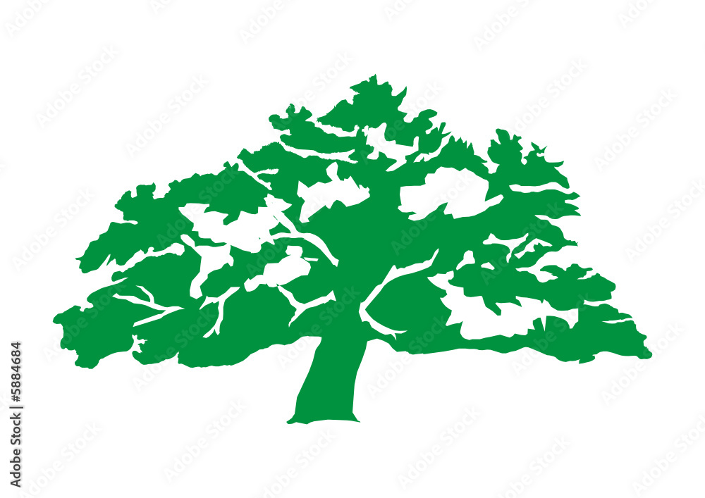 Verde arbol
