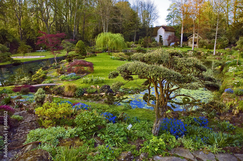 Courances,parc du chateau : jardin ,japonais