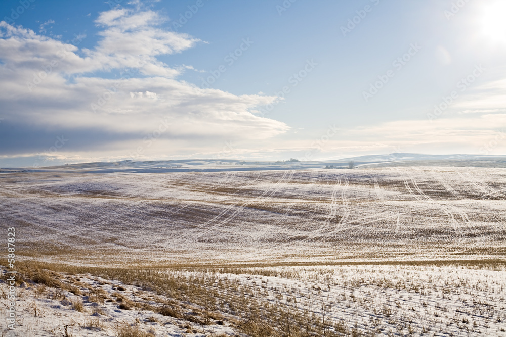 sunny landscape of wide field with dry grass under snow