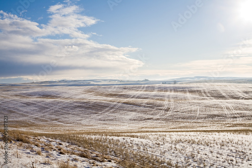 sunny landscape of wide field with dry grass under snow