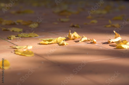 Hot Autumn