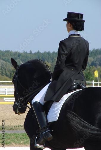 equestrian woman riding black stallion horse