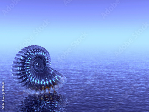 Sea shell on the sunset sea beach - 3d illustration.
