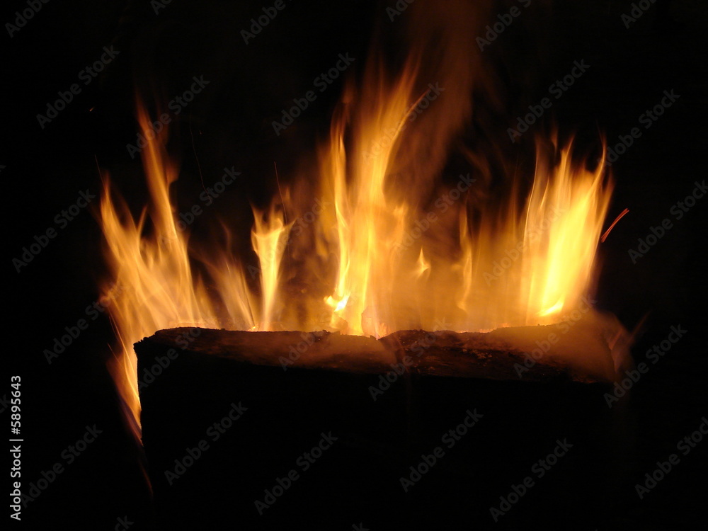 Fototapeta premium Flammengezüngel