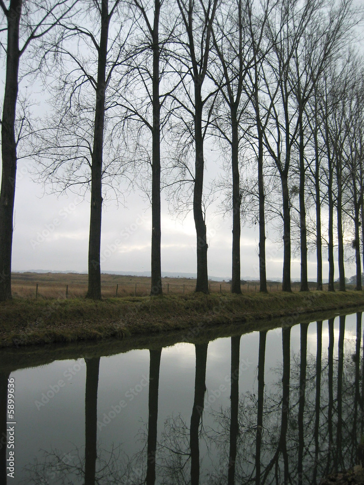 Obraz premium alignement hivernal