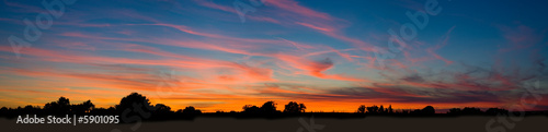 Beauty sunset over trees