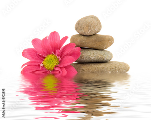 therapy stones with flowers isolated
