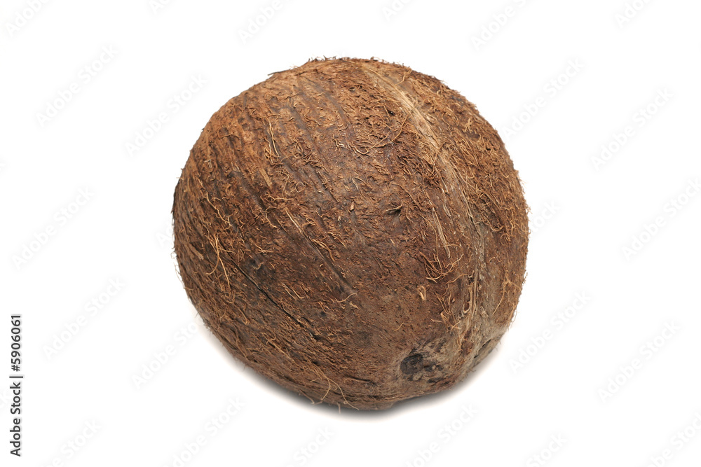 Coconut Coconut