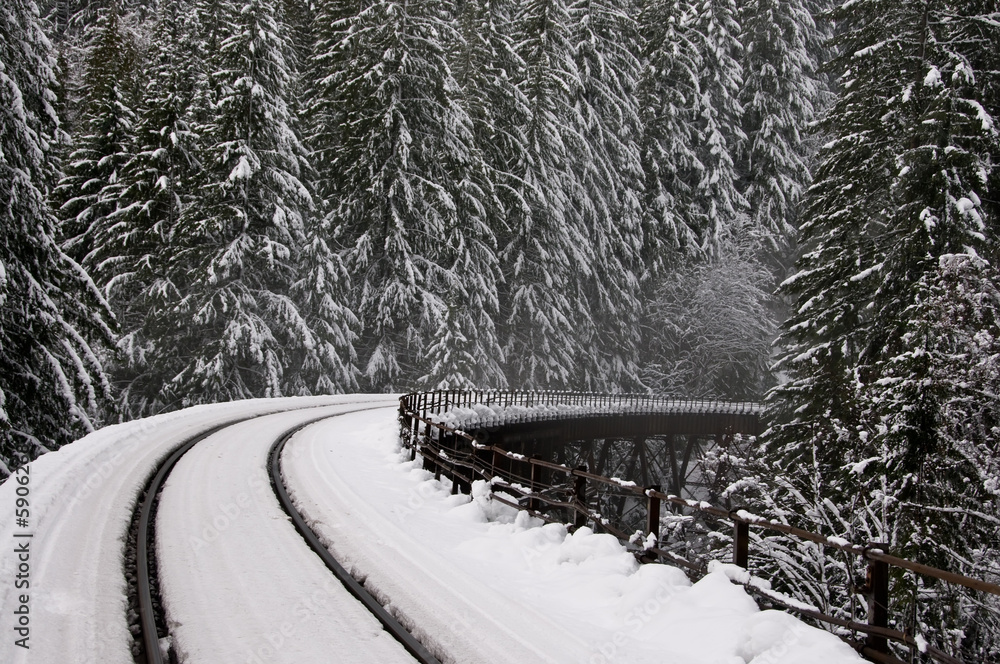 Fototapeta premium Northern Pacific Rail Bridge, near Steven's Pass, Washington