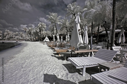 infrared photo - coconut tree, cloud and bed at the seasides