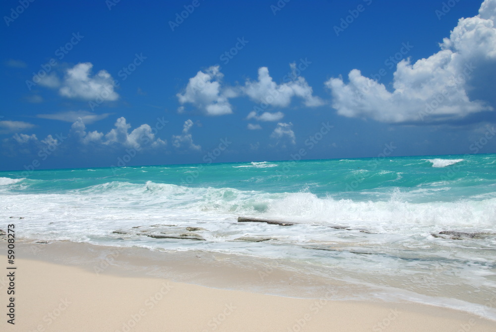 Ocean waves and beach scenery