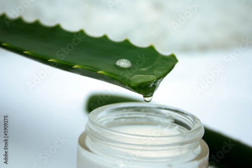 crema de aloe