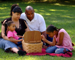Peek in the Basket