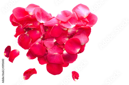 heart made of rose