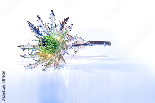 Light Flower (Fiore in chiaro)