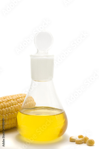 maize  corn and oil isolated
