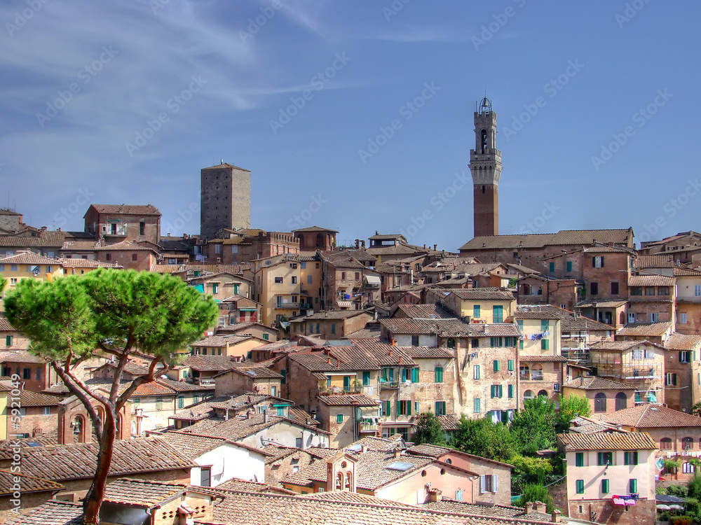 Colourful Siena