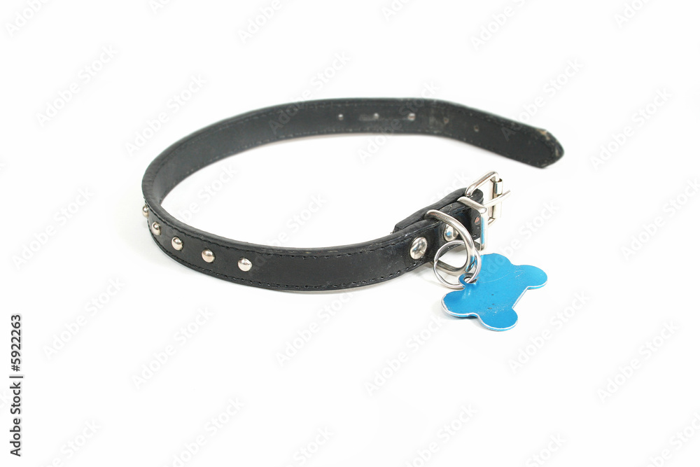 Obraz premium a dog collar with a id tag on it