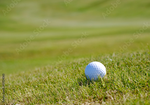 White golf ball resting on grass