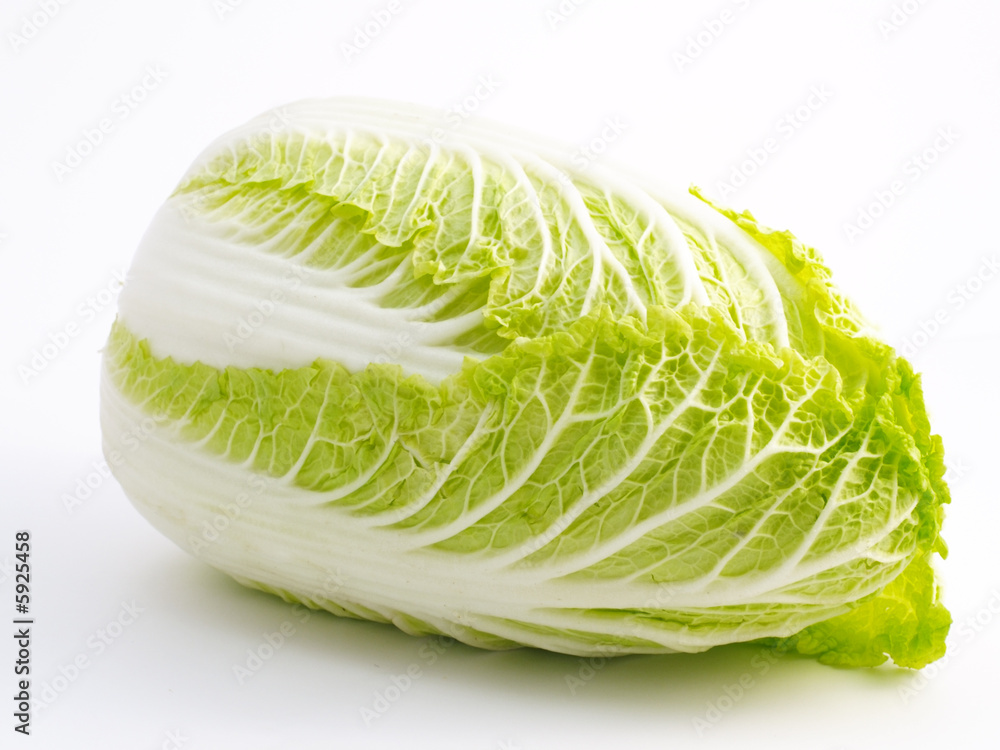 bok choy isolated on white background bok choy isolated on white background
