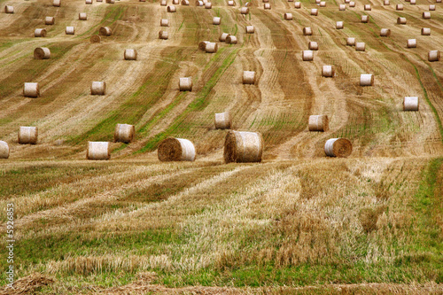 a scenic view in the irish countryside