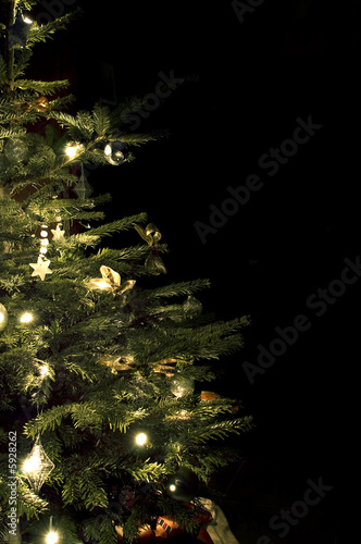 part of a christmas tree. black backgroud