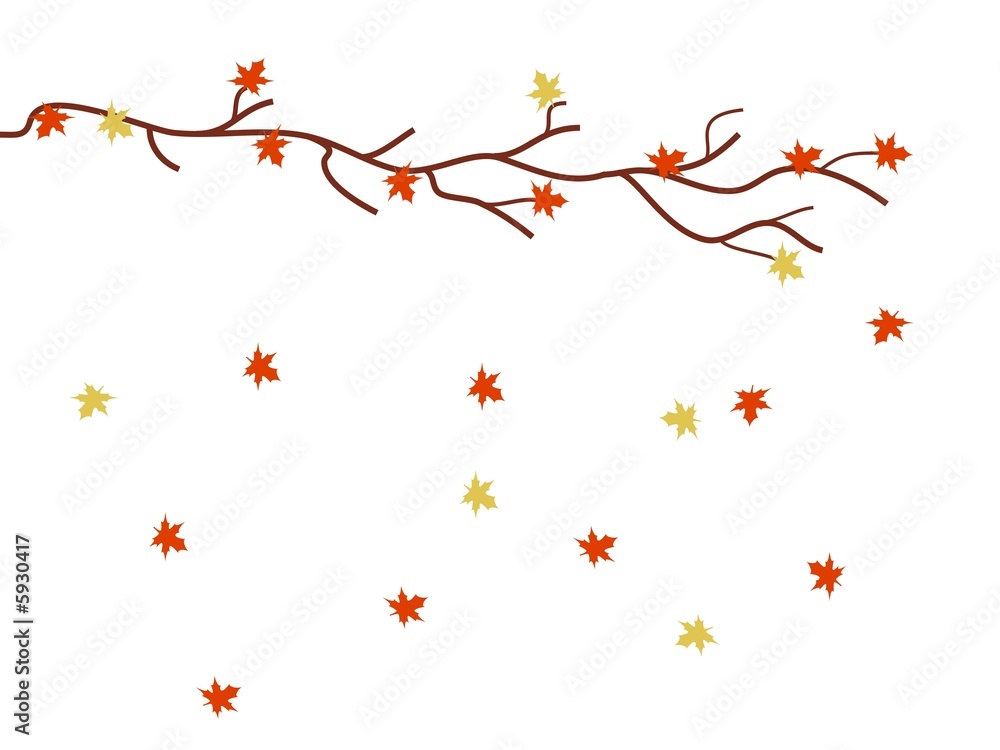 custom made wallpaper toronto digitalAutumn