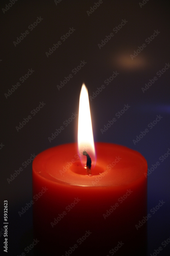 candela candela
