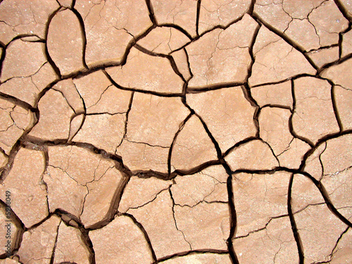 Cracked dry earth.