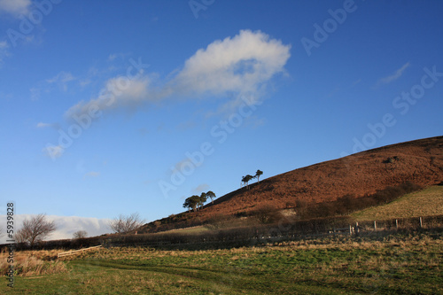 Fotografie View to the Doddington hill with trees on the skyline